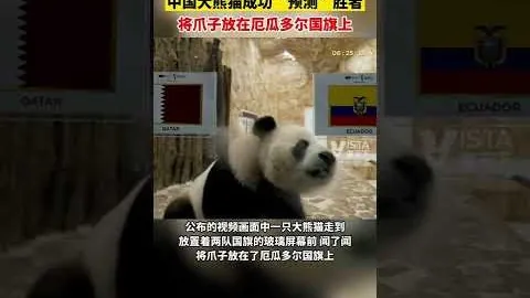 BB贝博艾弗森体育