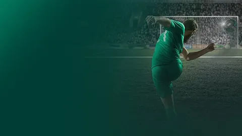 BB贝博艾弗森体育