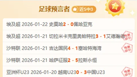 BB贝博艾弗森体育