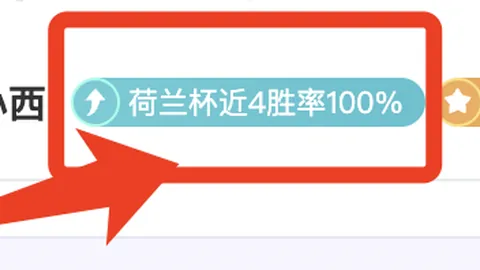 BB贝博艾弗森体育